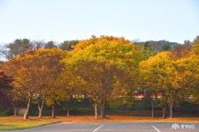 여행 - 충청남도 누리집(홈페이지) 충청남도 누리집(홈페이지)