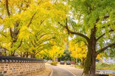 여행 - 충청남도 누리집(홈페이지) 충청남도 누리집(홈페이지)