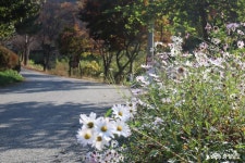 여행 - 충청남도 누리집(홈페이지) 충청남도 누리집(홈페이지)