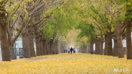 전체기사 - 충청남도 누리집(홈페이지) 충청남도 누리집(홈페이지)