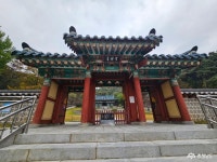 사는 이야기 - 충청남도 누리집(홈페이지) 충청남도 누리집(홈페이지)