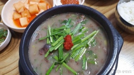 여행 - 충청남도 누리집(홈페이지) 충청남도 누리집(홈페이지)