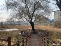 사는 이야기 - 충청남도 누리집(홈페이지) 충청남도 누리집(홈페이지)