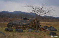 문화, 역사 - 충청남도 누리집(홈페이지) 충청남도 누리집(홈페이지)