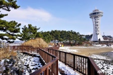 여행 - 충청남도 누리집(홈페이지) 충청남도 누리집(홈페이지)