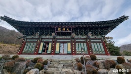 여행 - 충청남도 누리집(홈페이지) 충청남도 누리집(홈페이지)
