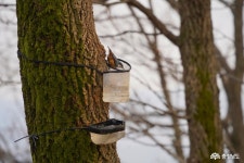 사는 이야기 - 충청남도 누리집(홈페이지) 충청남도 누리집(홈페이지)