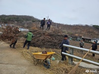 문화, 역사 - 충청남도 누리집(홈페이지) 충청남도 누리집(홈페이지)