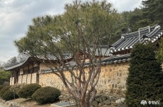 문화, 역사 - 충청남도 누리집(홈페이지) 충청남도 누리집(홈페이지)