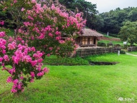 문화, 역사 - 충청남도 누리집(홈페이지) 충청남도 누리집(홈페이지)