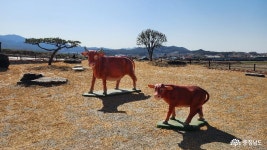 여행 - 충청남도 누리집(홈페이지) 충청남도 누리집(홈페이지)