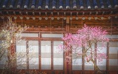 Foto de resultados de búsqueda de Naver 5