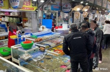 여행 - 충청남도 누리집(홈페이지) 충청남도 누리집(홈페이지)