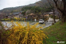 문화, 역사 - 충청남도 누리집(홈페이지) 충청남도 누리집(홈페이지)