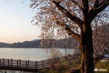 여행 - 충청남도 누리집(홈페이지) 충청남도 누리집(홈페이지)