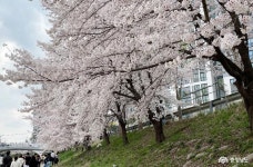 여행 - 충청남도 누리집(홈페이지) 충청남도 누리집(홈페이지)