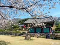 여행 - 충청남도 누리집(홈페이지) 충청남도 누리집(홈페이지)