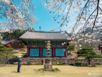 여행 - 충청남도 누리집(홈페이지) 충청남도 누리집(홈페이지)