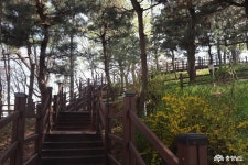 여행 - 충청남도 누리집(홈페이지) 충청남도 누리집(홈페이지)