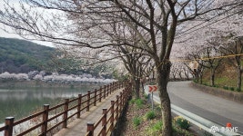 여행 - 충청남도 누리집(홈페이지) 충청남도 누리집(홈페이지)