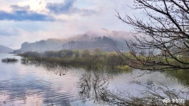 사는 이야기 - 충청남도 누리집(홈페이지) 충청남도 누리집(홈페이지)