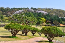 여행 - 충청남도 누리집(홈페이지) 충청남도 누리집(홈페이지)
