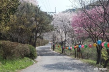여행 - 충청남도 누리집(홈페이지) 충청남도 누리집(홈페이지)