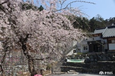 여행 - 충청남도 누리집(홈페이지) 충청남도 누리집(홈페이지)