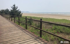 여행 - 충청남도 누리집(홈페이지) 충청남도 누리집(홈페이지)