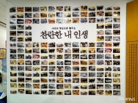 기타목보드게임실 | 여행 - 충청남도 누리집(홈페이지) 충청남도 누리집(홈페이지)
