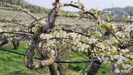 여행 - 충청남도 누리집(홈페이지) 충청남도 누리집(홈페이지)