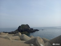 먹거리 - 충청남도 누리집(홈페이지) 충청남도 누리집(홈페이지)