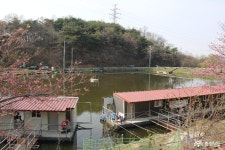 문화, 역사 - 충청남도 누리집(홈페이지) 충청남도 누리집(홈페이지)