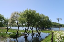 여행 - 충청남도 누리집(홈페이지) 충청남도 누리집(홈페이지)