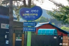 여행 - 충청남도 누리집(홈페이지) 충청남도 누리집(홈페이지)