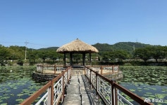 여행 - 충청남도 누리집(홈페이지) 충청남도 누리집(홈페이지)