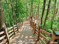 여행 - 충청남도 누리집(홈페이지) 충청남도 누리집(홈페이지)