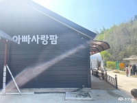 여행 - 충청남도 누리집(홈페이지) 충청남도 누리집(홈페이지)