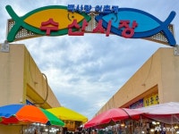 태안군 드르니항 충청남도 누리집(홈페이지)