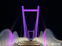 Foto aus Naver-Suchergebnissen 6