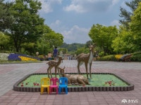 전체기사 - 충청남도 누리집(홈페이지) 충청남도 누리집(홈페이지)