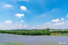 여행 - 충청남도 누리집(홈페이지) 충청남도 누리집(홈페이지)