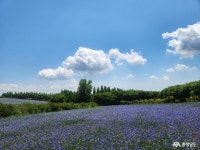 여행 - 충청남도 누리집(홈페이지) 충청남도 누리집(홈페이지)