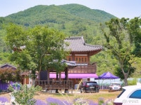 문화, 역사 - 충청남도 누리집(홈페이지) 충청남도 누리집(홈페이지)