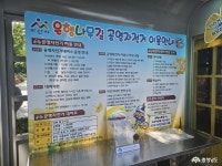 여름 은행나무길 구경하고 왔어요. 충청남도 누리집(홈페이지)