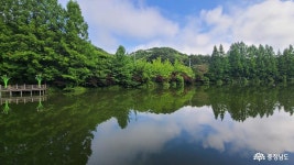 여행 - 충청남도 누리집(홈페이지) 충청남도 누리집(홈페이지)