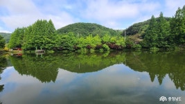 여행 - 충청남도 누리집(홈페이지) 충청남도 누리집(홈페이지)