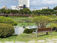 사는 이야기 - 충청남도 누리집(홈페이지) 충청남도 누리집(홈페이지)