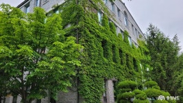 여행 - 충청남도 누리집(홈페이지) 충청남도 누리집(홈페이지)