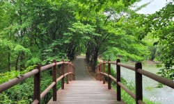 여행 - 충청남도 누리집(홈페이지) 충청남도 누리집(홈페이지)